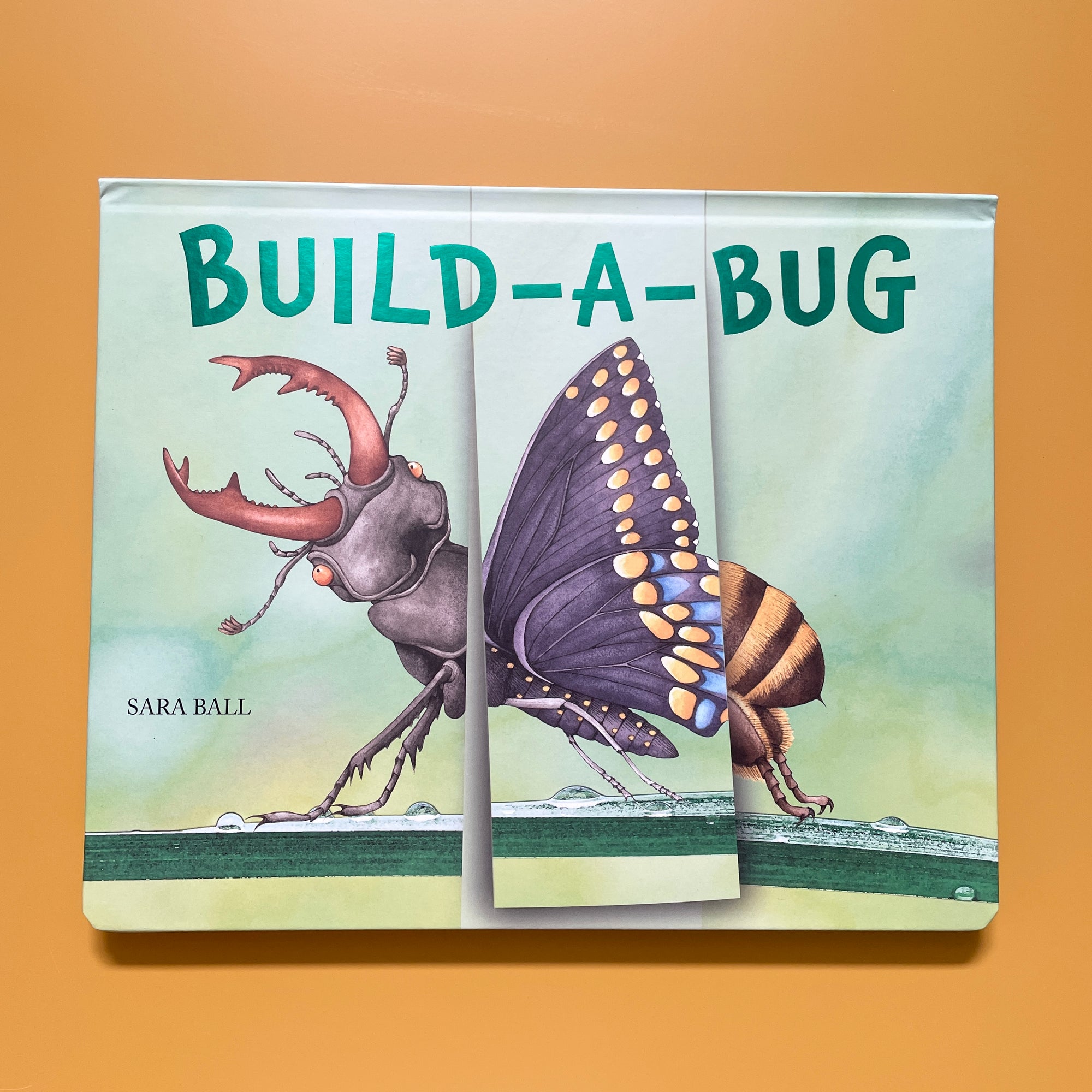 BUILD-A-BUG