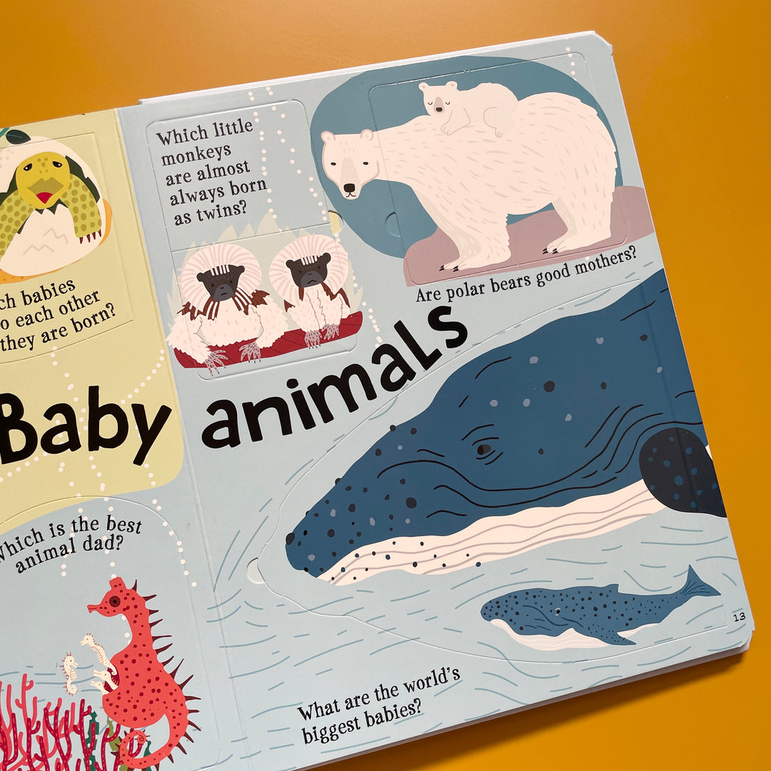 WILD ABOUT ANIMALS