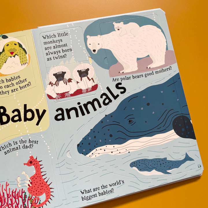 WILD ABOUT ANIMALS