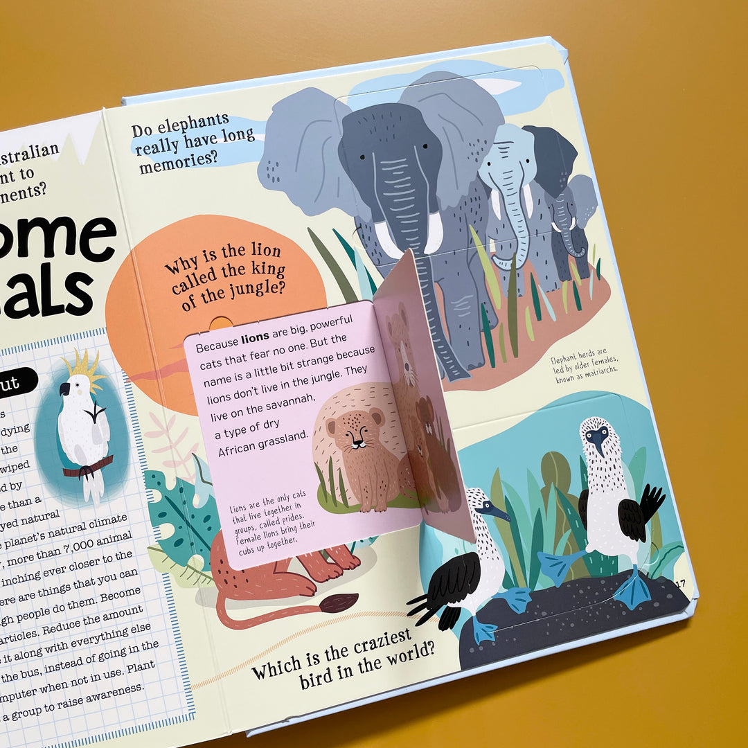 WILD ABOUT ANIMALS