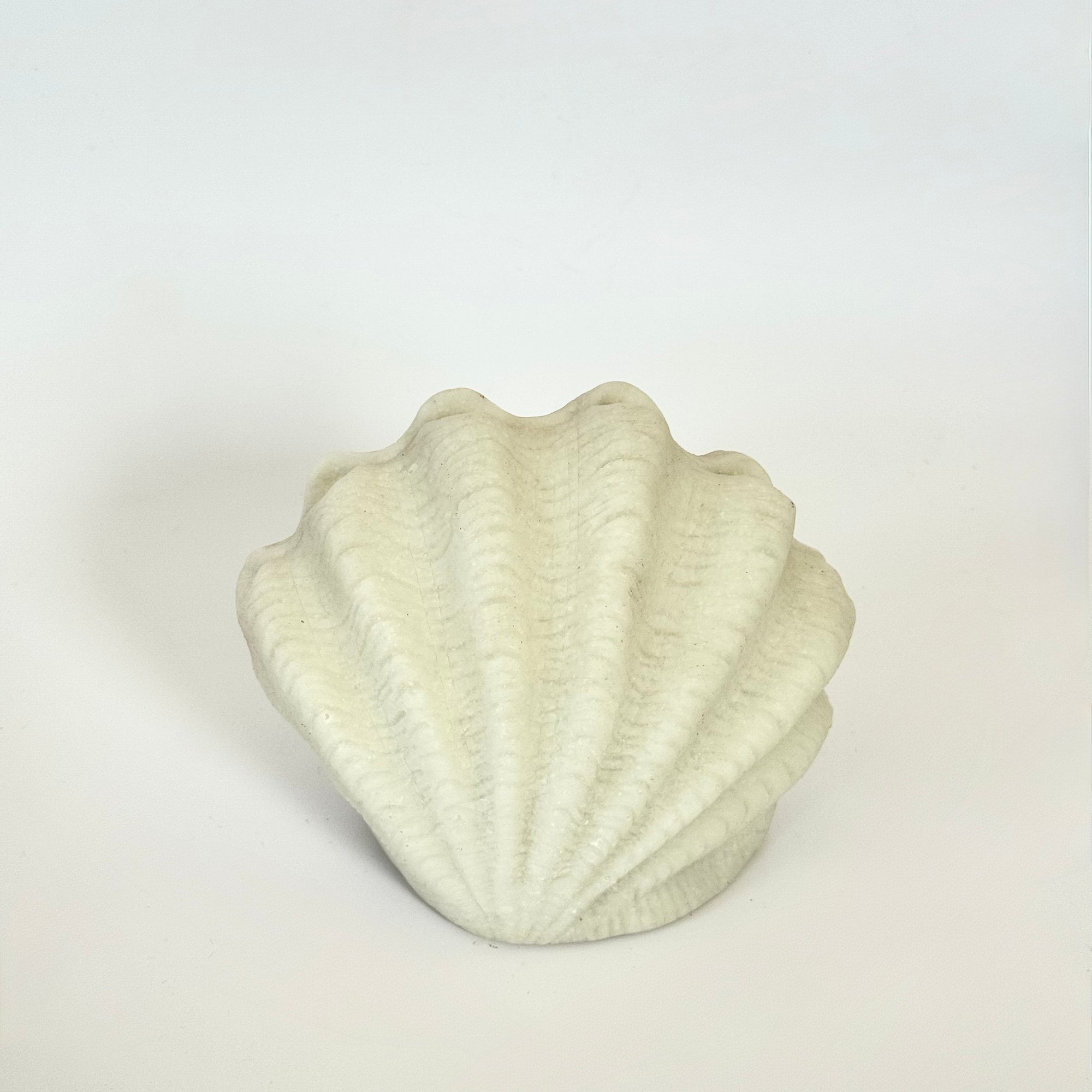SHELLS MINI OUTDOOR LIGHT: SCALLOP