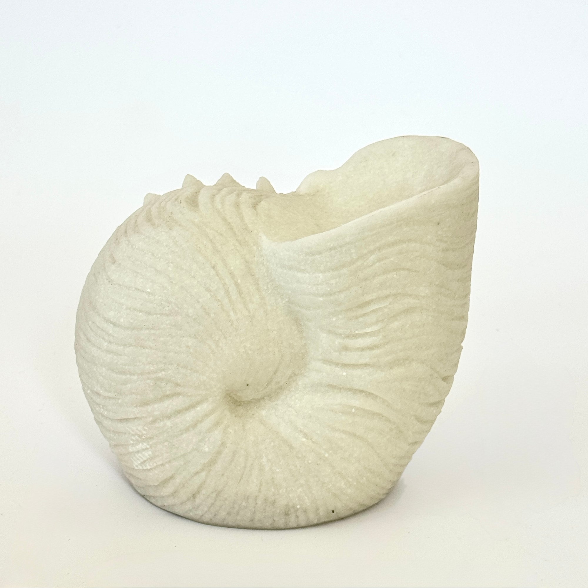 SHELLS MINI OUTDOOR LIGHT: NAUTILUS