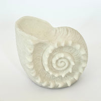 SHELLS MINI OUTDOOR LIGHT: NAUTILUS