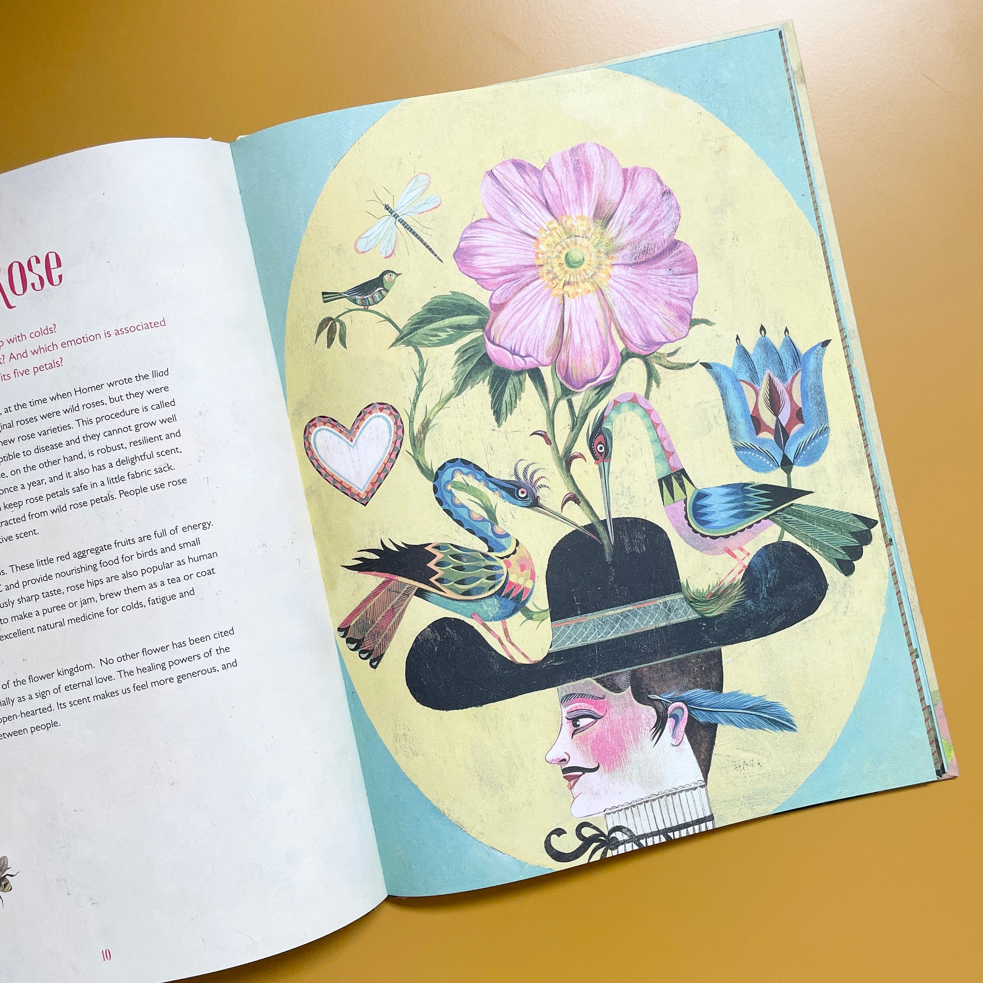 OLAF HAJEK'S FLOWER POWER
