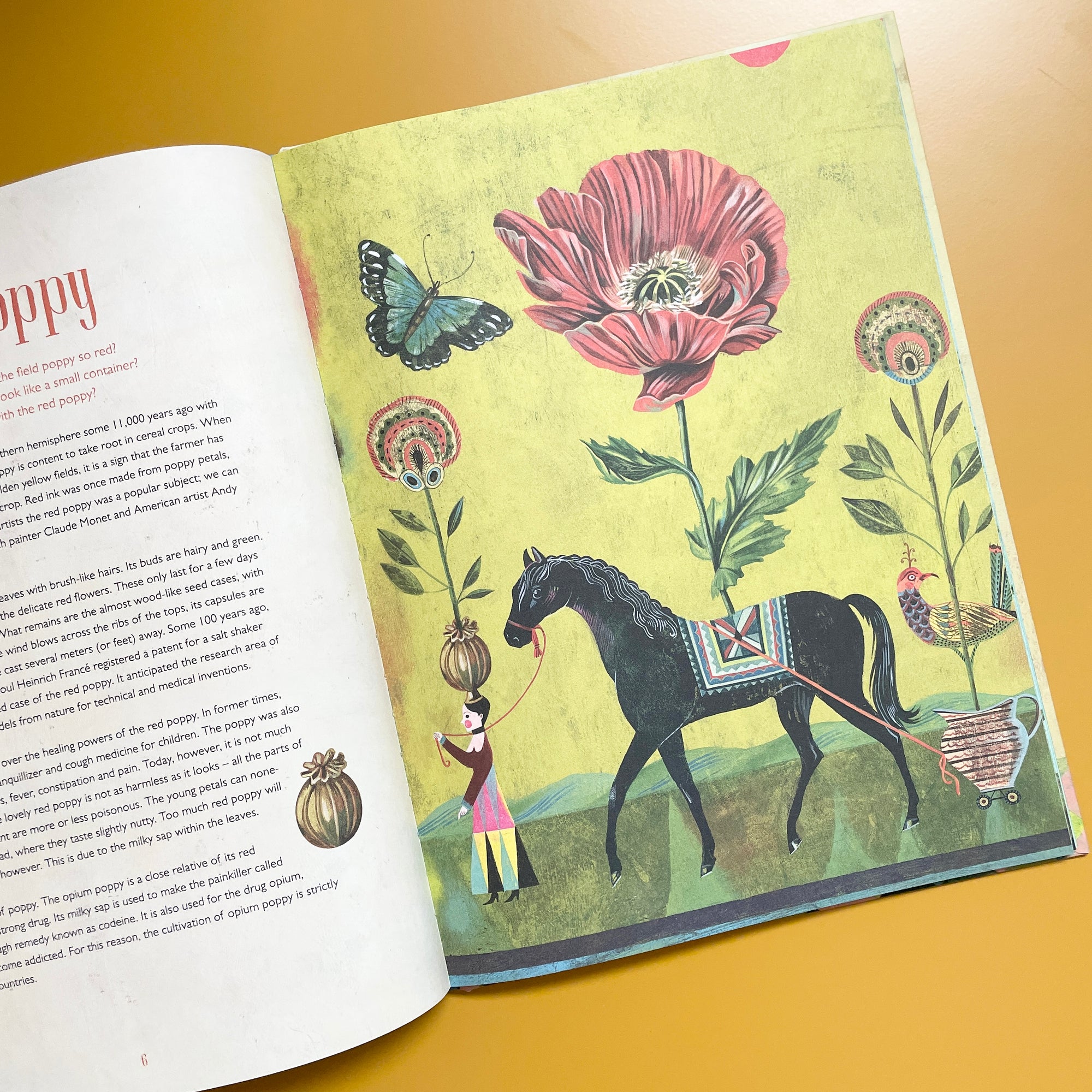 OLAF HAJEK'S FLOWER POWER