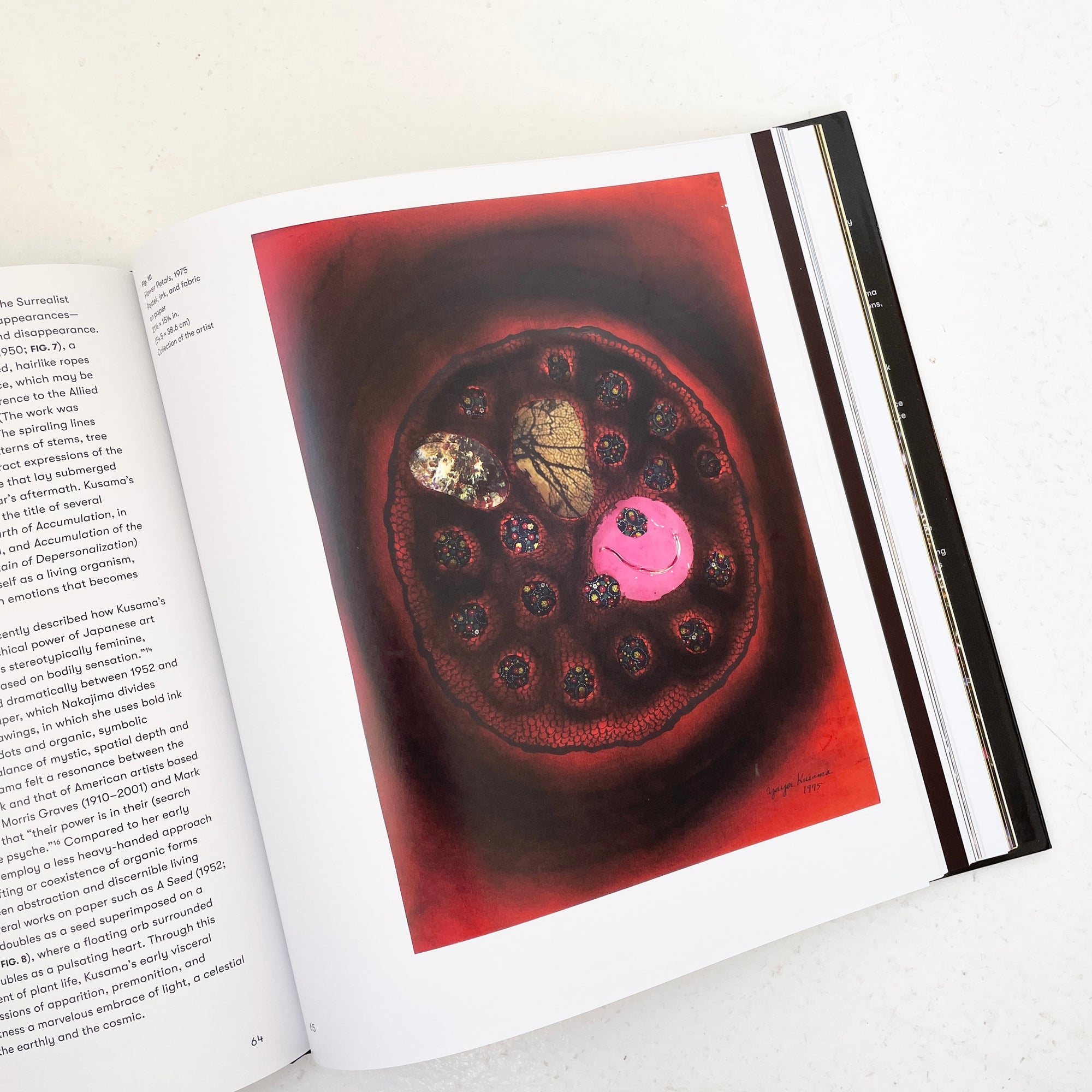 KUSAMA: COSMIC NATURE