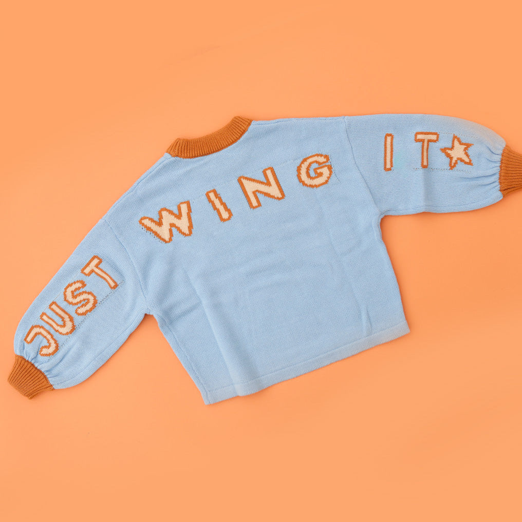 SMALL SWIM CLUB JUST WING IT KNIT PULLOVER