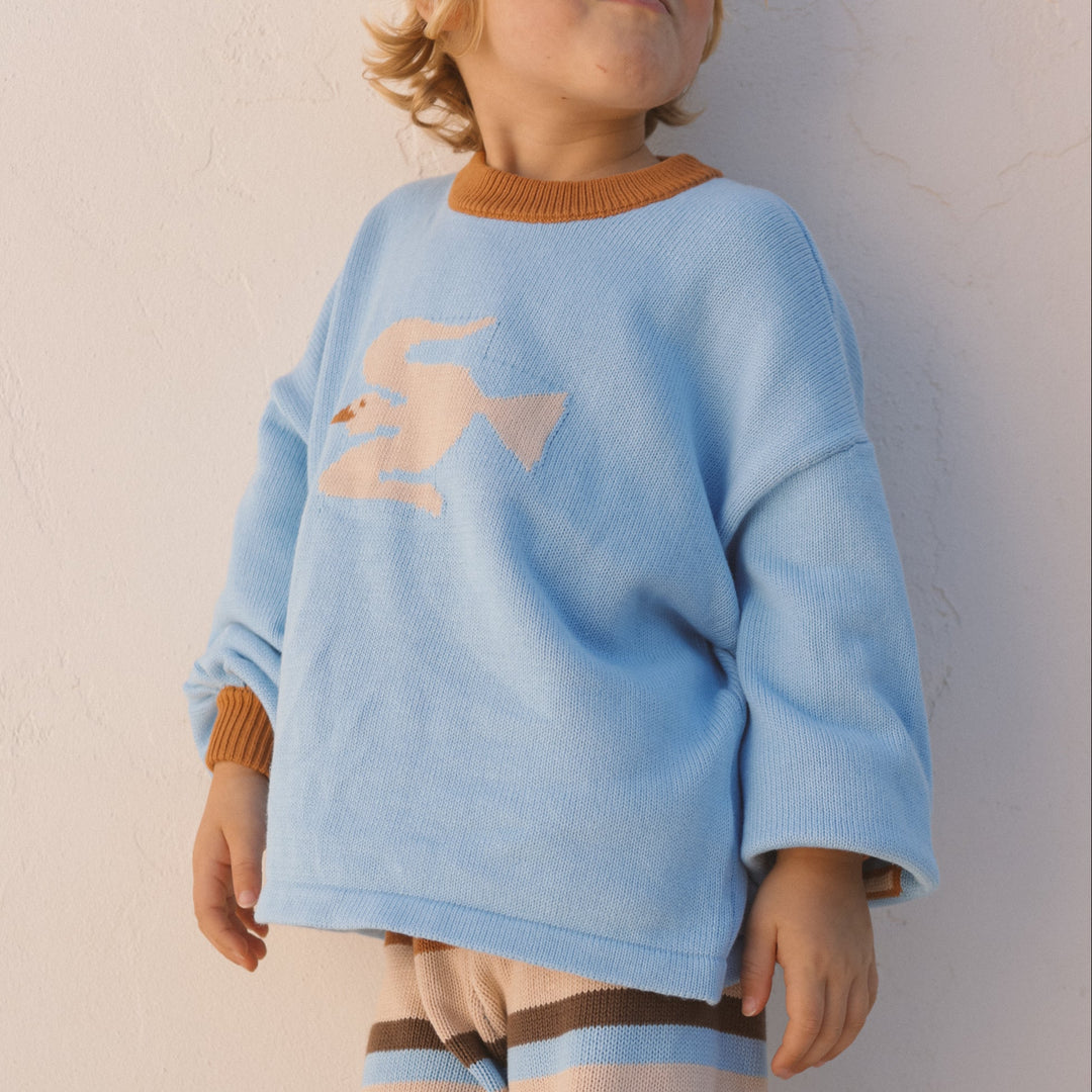 SMALL SWIM CLUB JUST WING IT KNIT PULLOVER