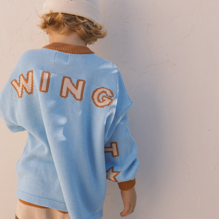 SMALL SWIM CLUB JUST WING IT KNIT PULLOVER