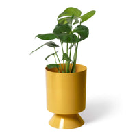 LIGHTLY PALM SPRINGS PLANTER SMALL: TURMERIC