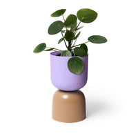 LIGHTLY TONE PLANTER: LILAC AND SORREL