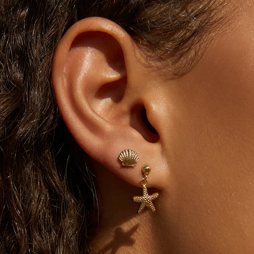 ARMS OF EVE SHELLI GOLD STUDS