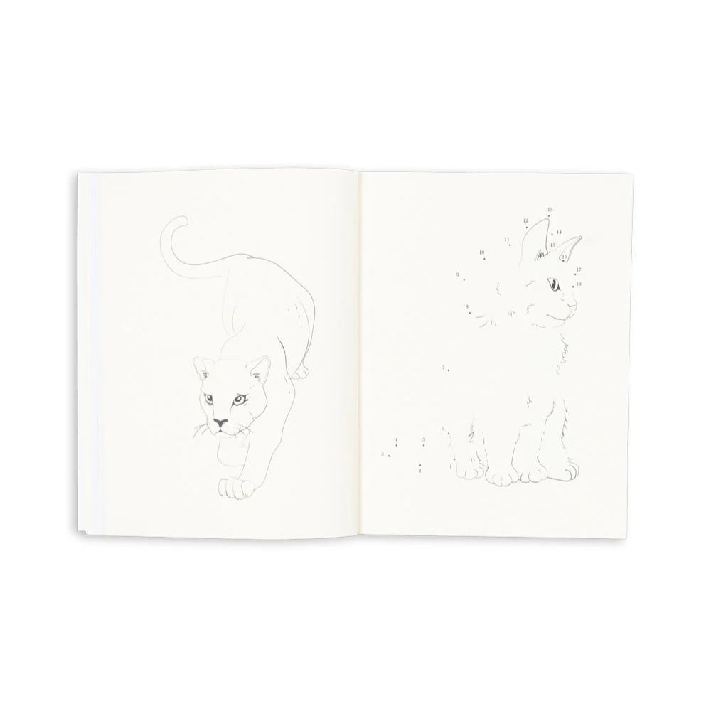 KONGES SLOJD ACTIVITY BOOK WITH COLOUR PENCILS: MULTI