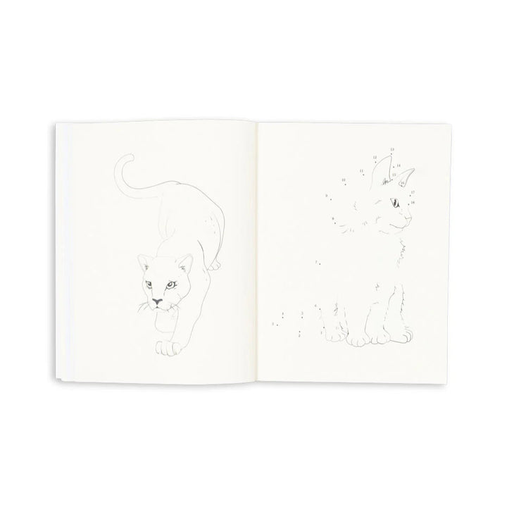 KONGES SLOJD ACTIVITY BOOK WITH COLOUR PENCILS: MULTI