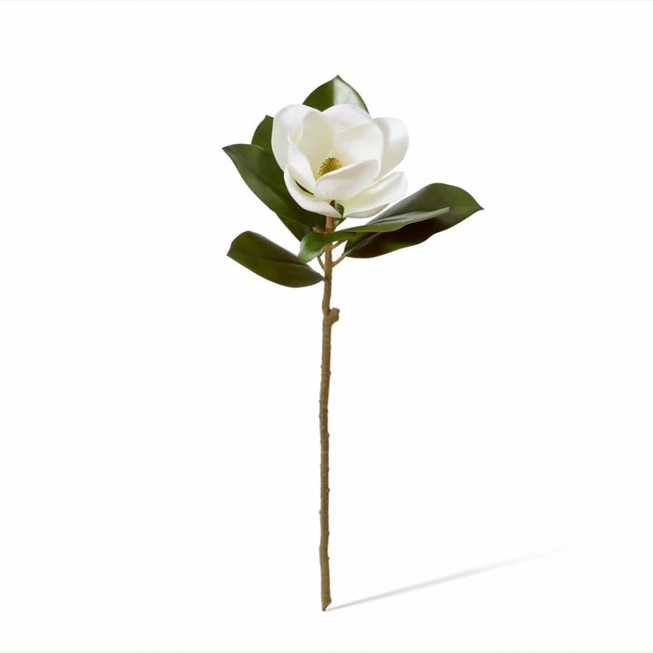 MAGNOLIA GRAND FLOWER STEM: WHITE/ 66CM