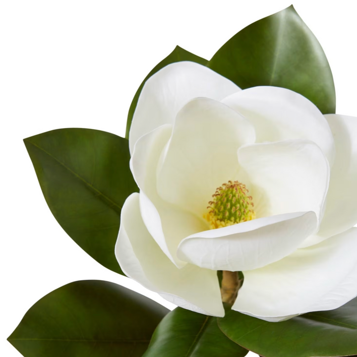 MAGNOLIA GRAND FLOWER STEM: WHITE/ 66CM