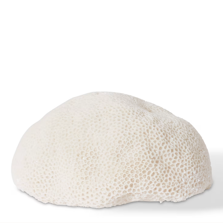 CORAL LAMP: STARLET