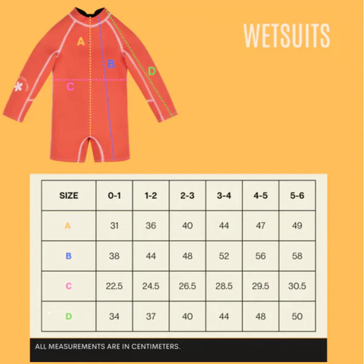 SUMMER SUN LABEL S/S SPRINGSUIT: DUSTY BLUE/ MARINE