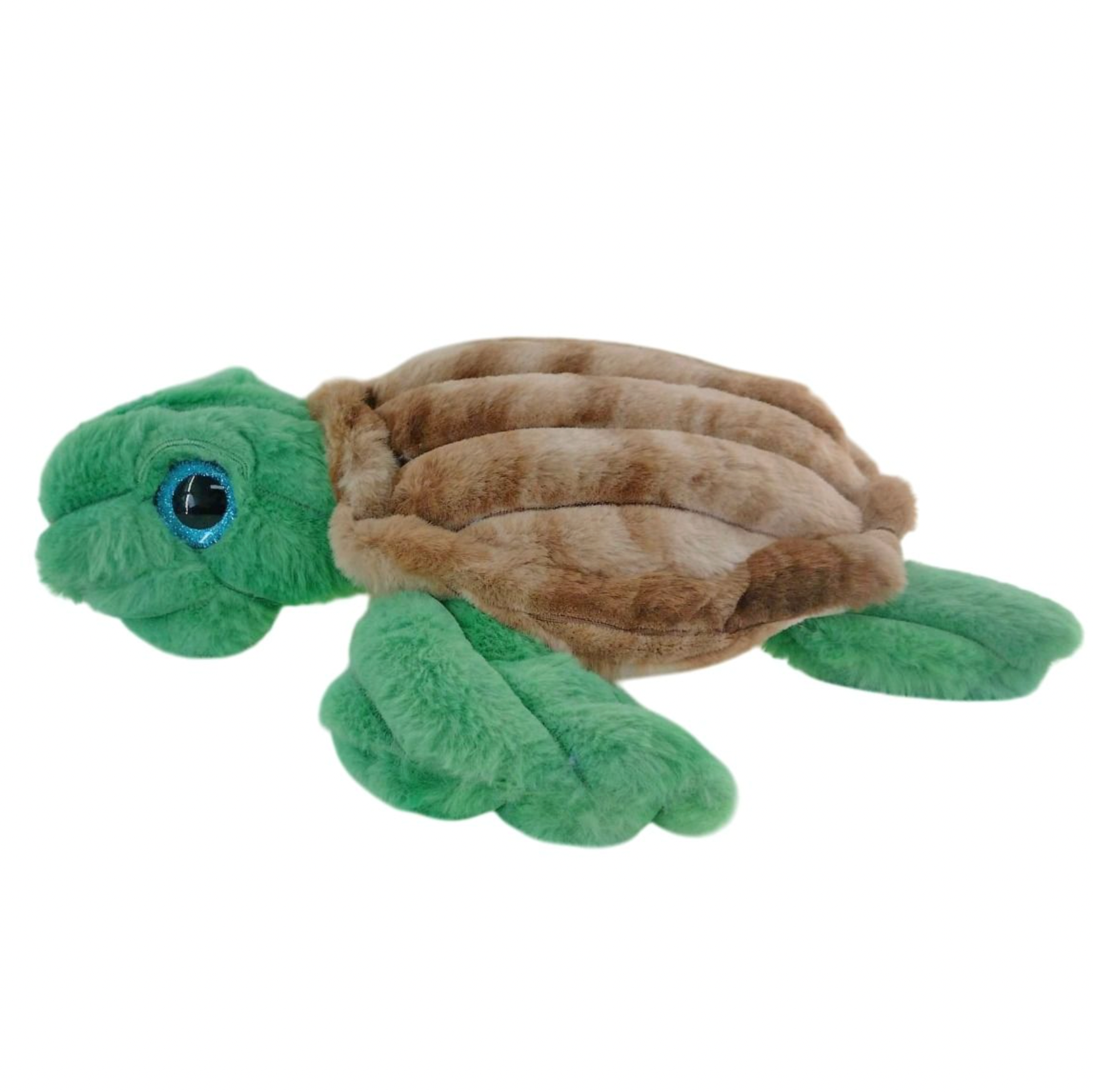 SEA TURTLE: TONY