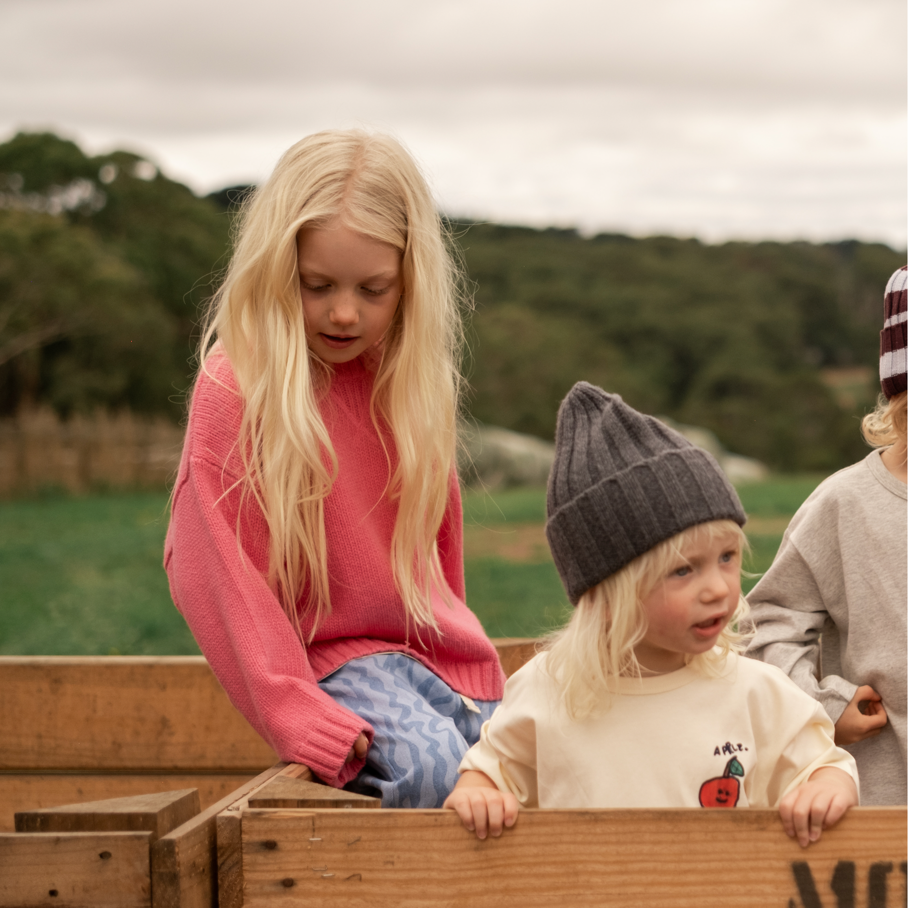 GROWN MERINO BLEND KNIT PULL OVER: RASPBERRY