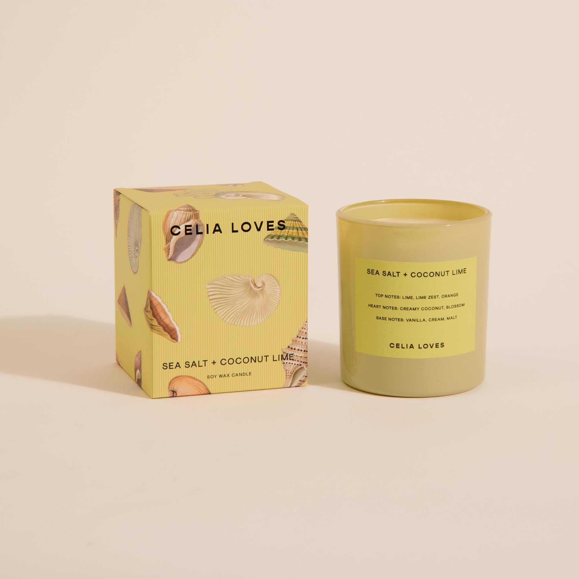 CELIA LOVES FIELD NOTES CANDLE: SEA SALT COCONUT LIME