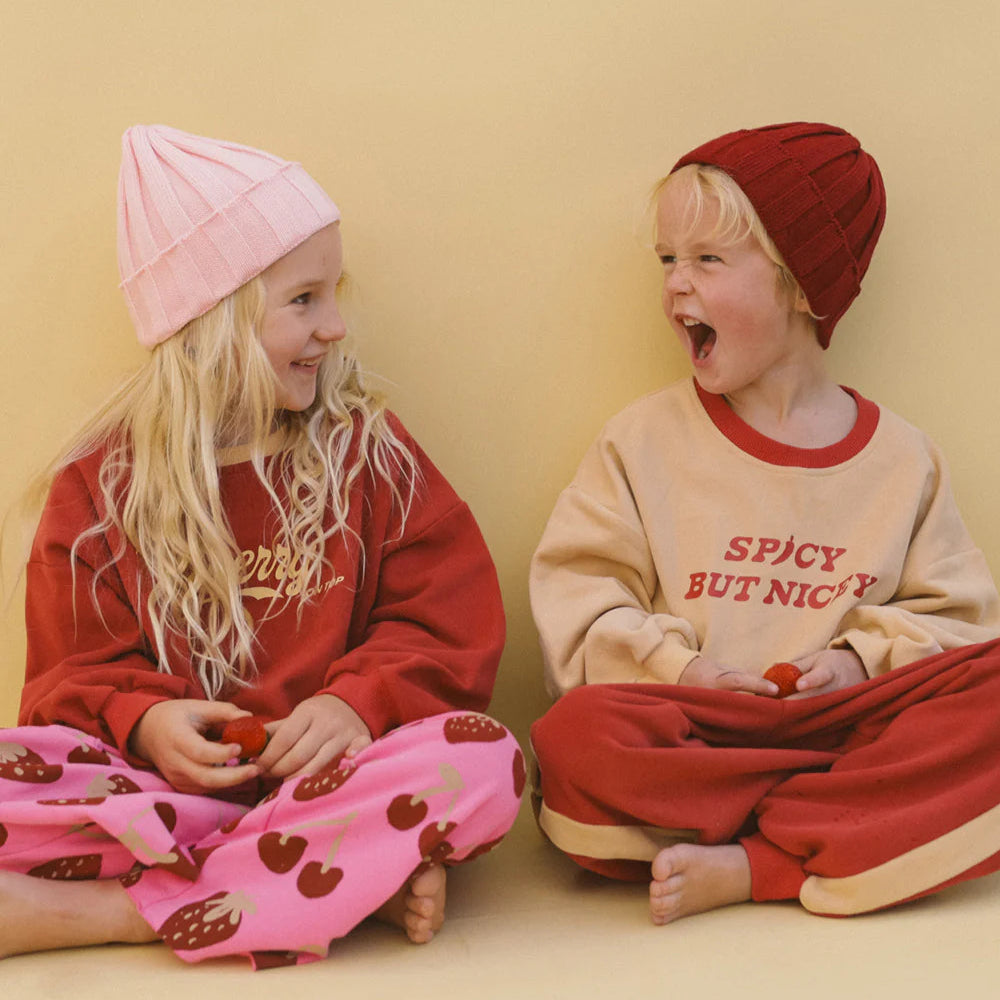 SMALL SWIM CLUB SPICY BUT NICEY PULLOVER