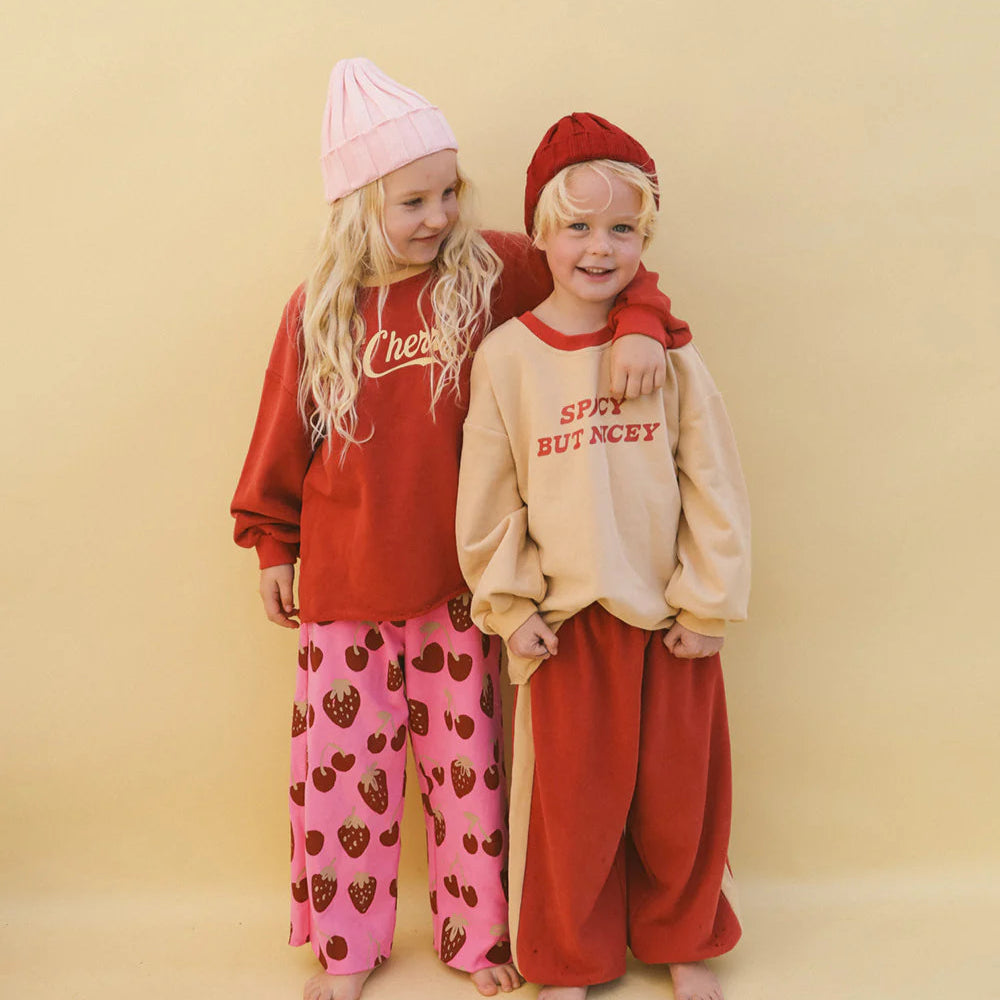 SMALL SWIM CLUB SPICY BUT NICEY PULLOVER