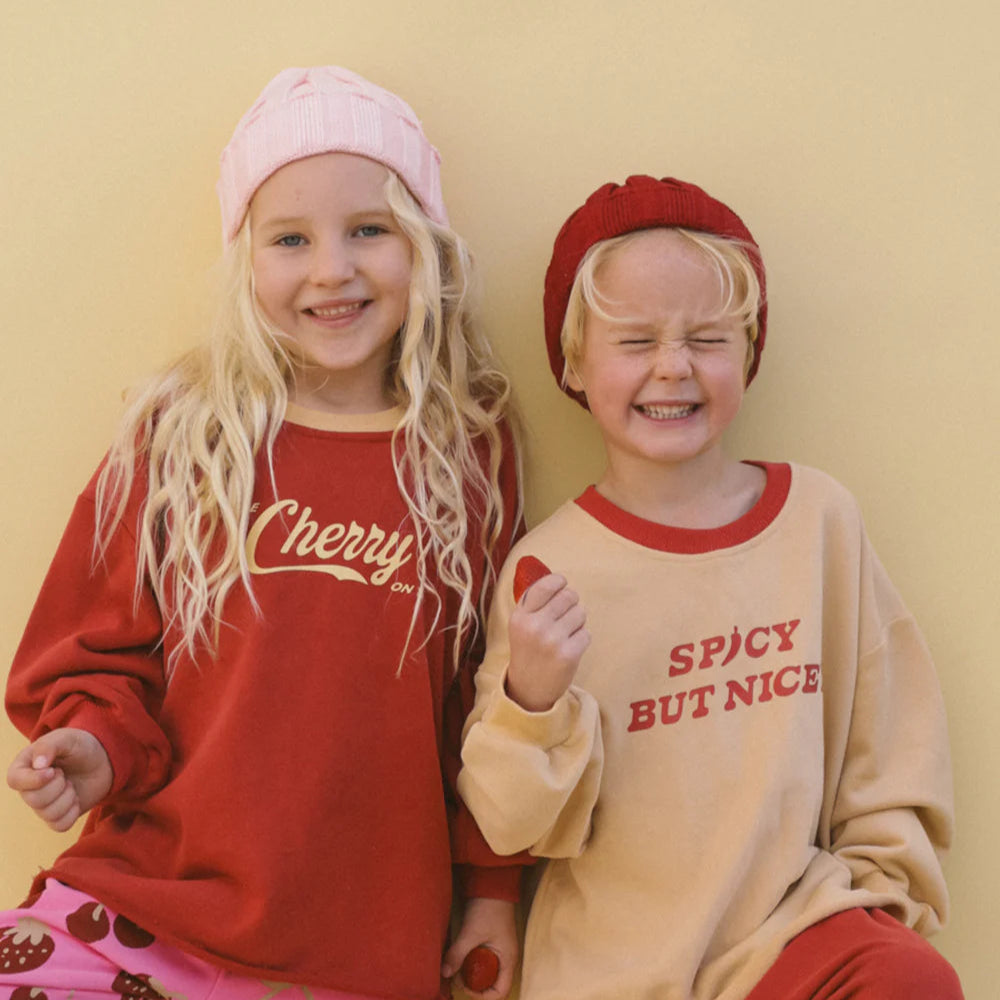 SMALL SWIM CLUB SPICY BUT NICEY PULLOVER