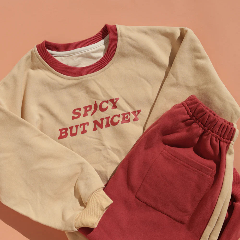 SMALL SWIM CLUB SPICY BUT NICEY PULLOVER