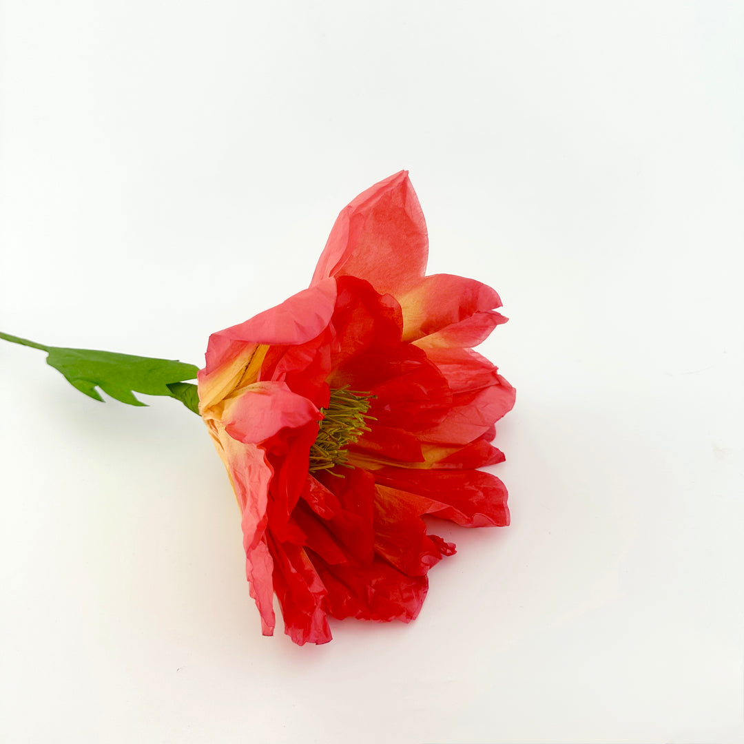 PAPER FLOWER: POPPY