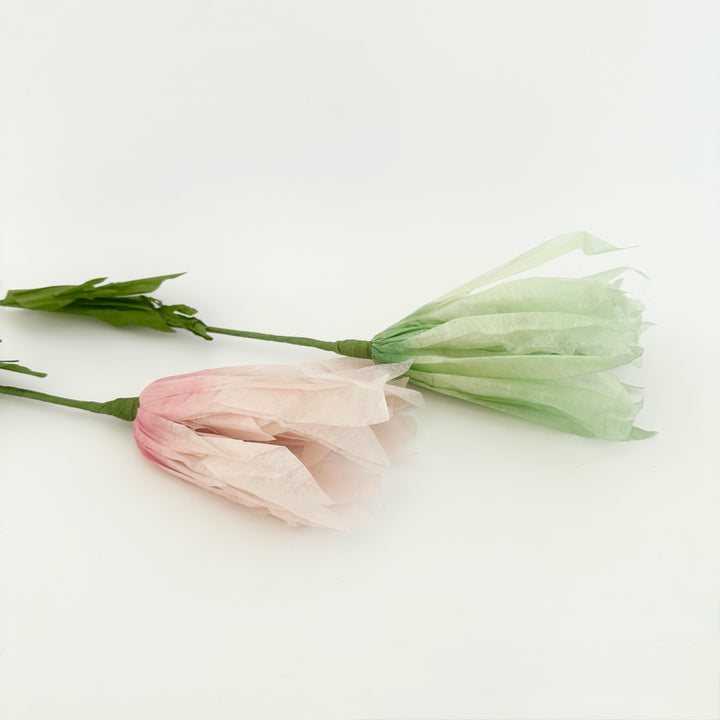 PAPER FLOWER: DAISY