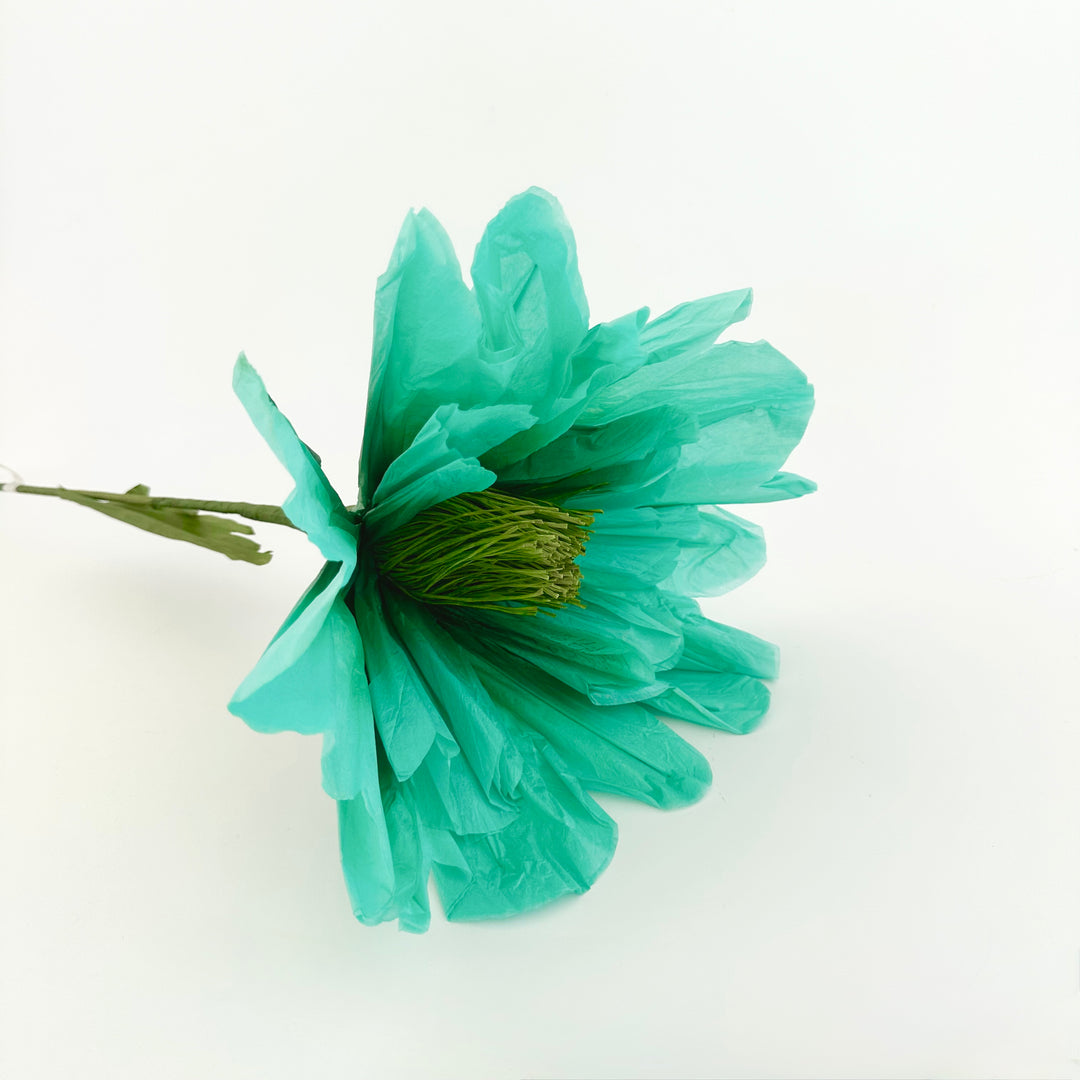 PAPER FLOWER: POPPY