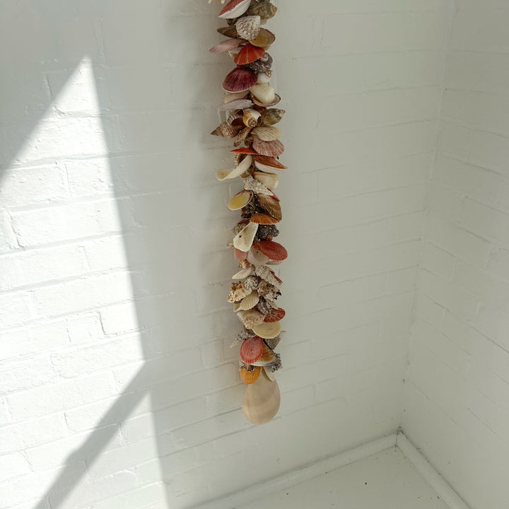 SECONDS STOCK: ASSORTED SHELL CLUSTER: 140CM