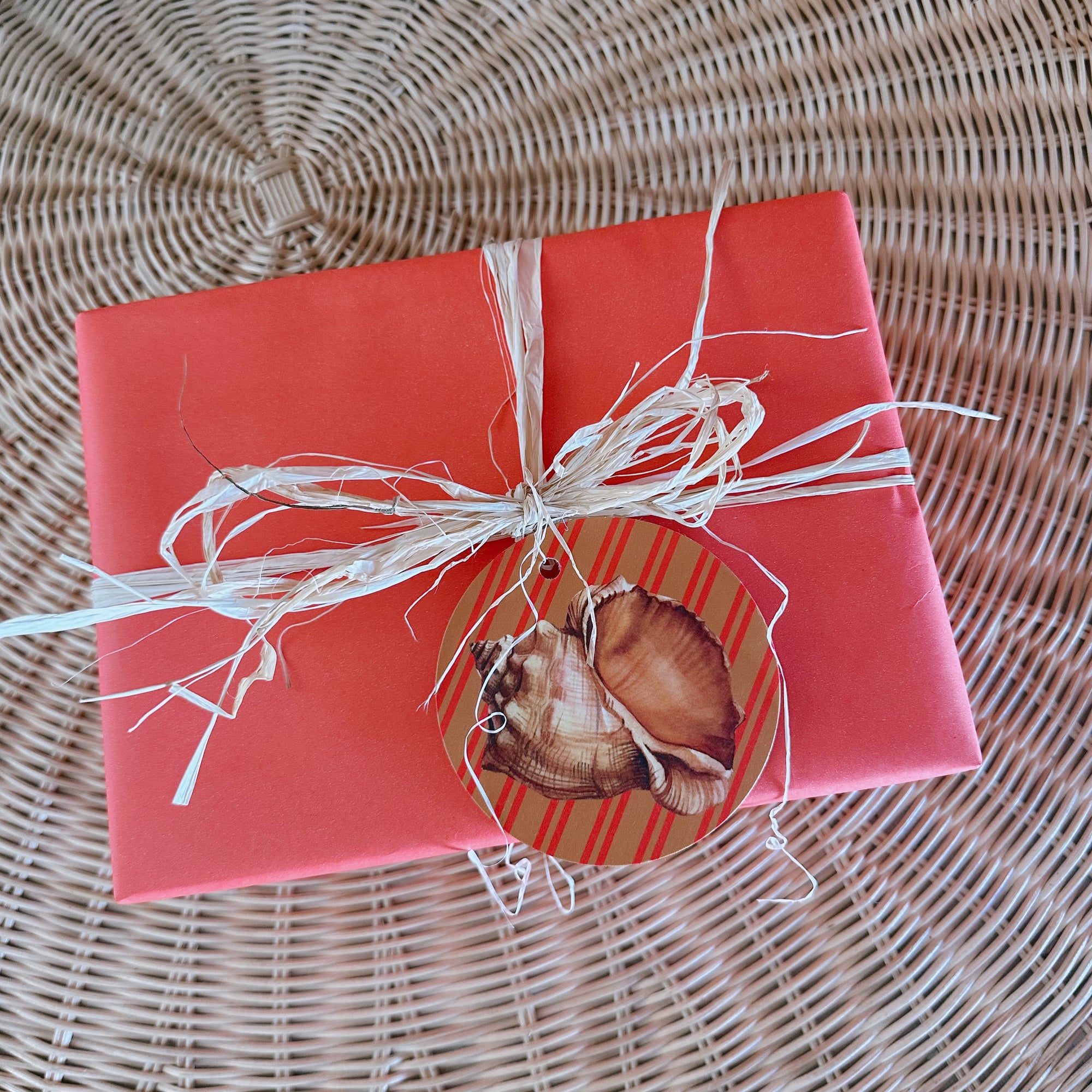 COMMON CIRCUS CONCH SHELL GIFT TAG