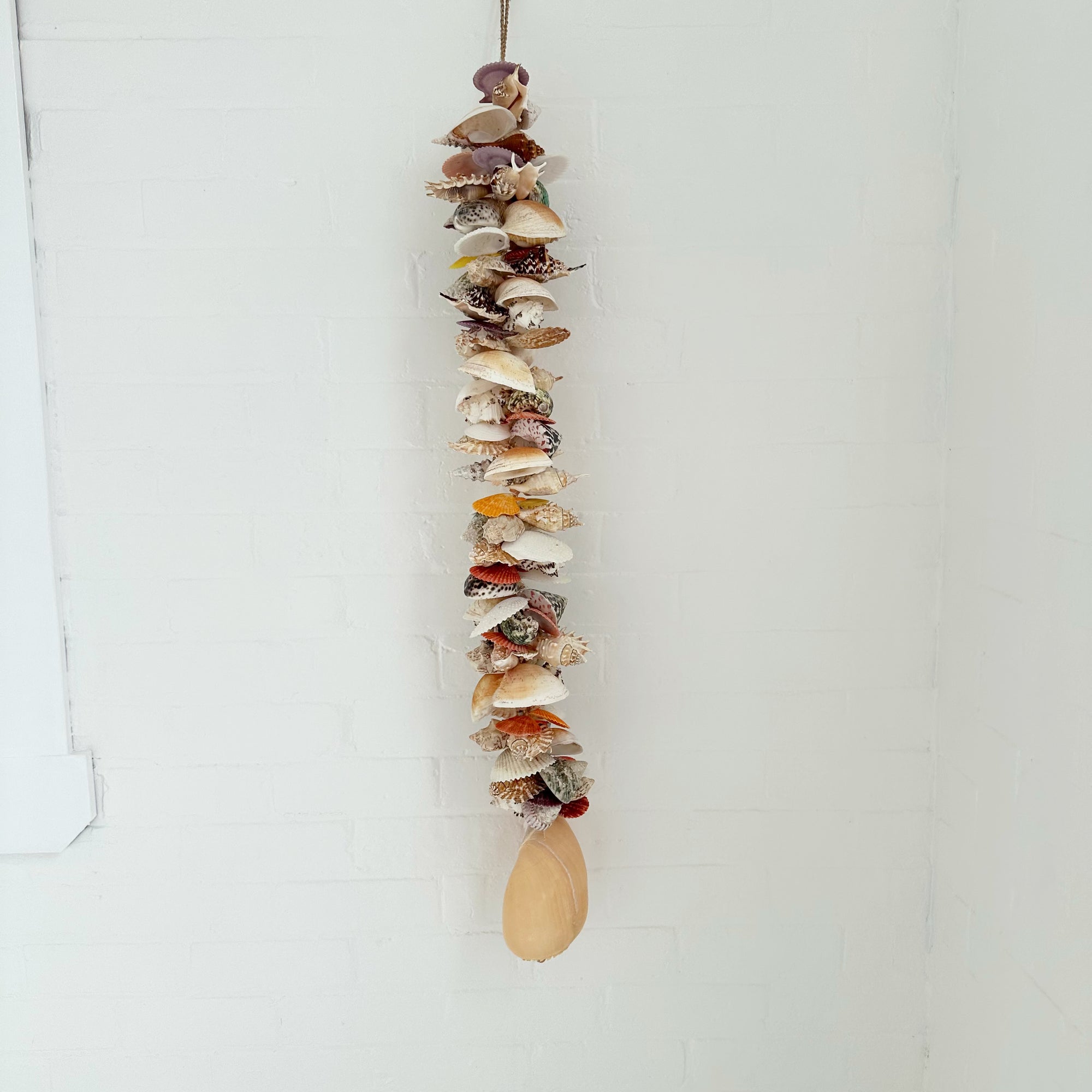 ASSORTED SHELL CLUSTER: 110CM