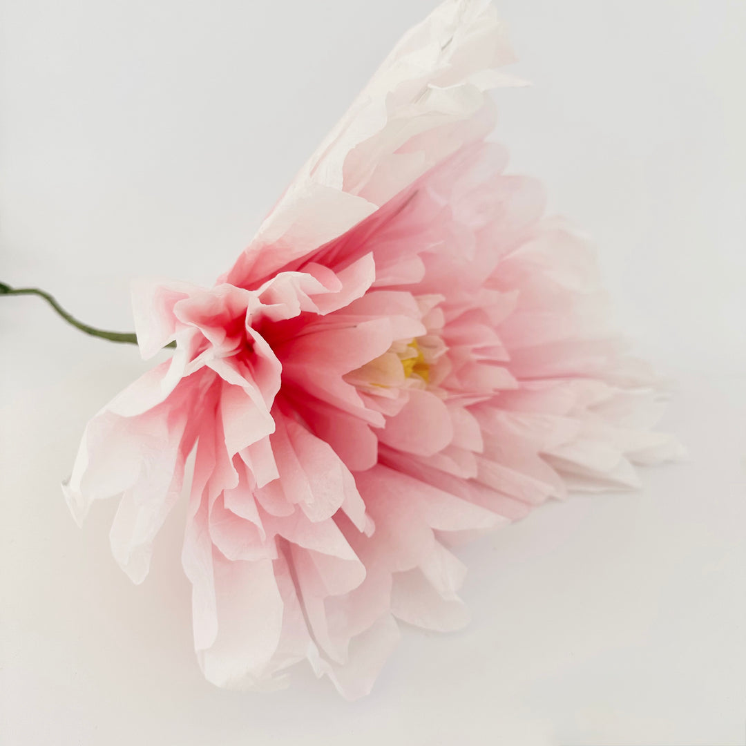PAPER FLOWER: DAHLIA
