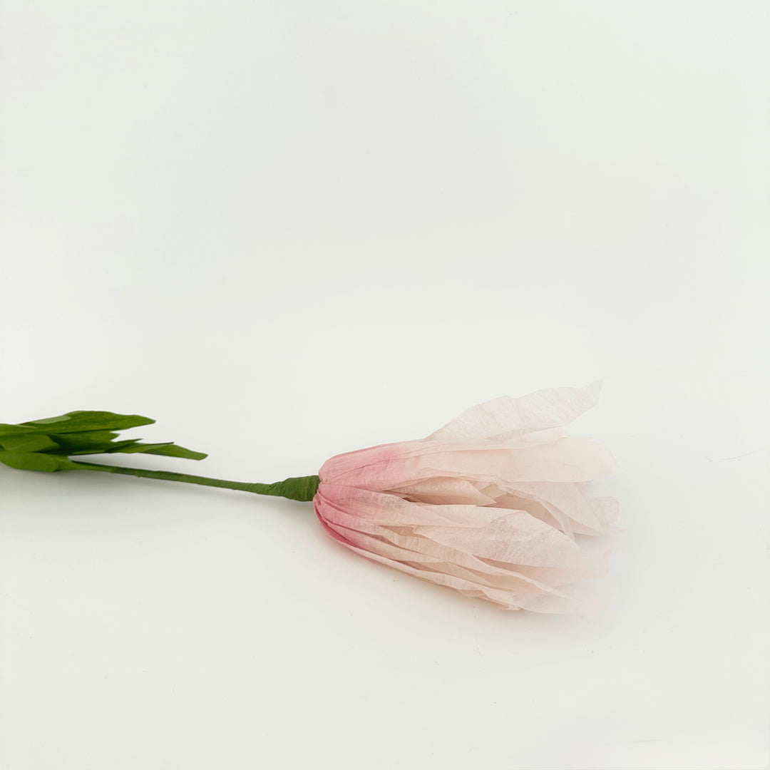 PAPER FLOWER: DAISY