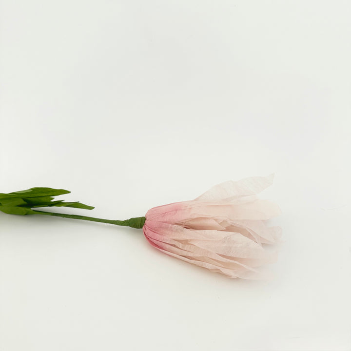 PAPER FLOWER: DAISY
