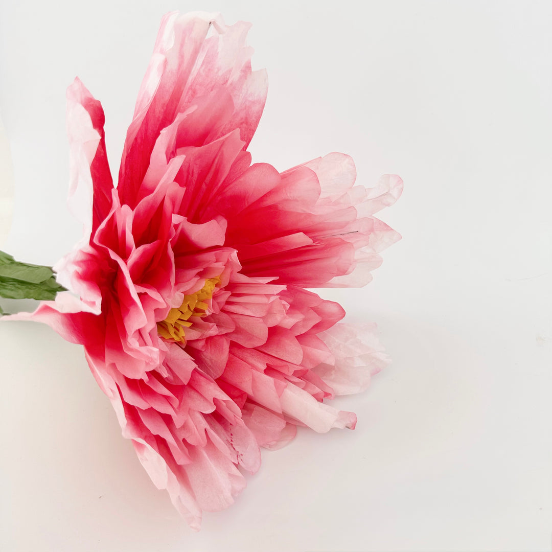 PAPER FLOWER: DAHLIA