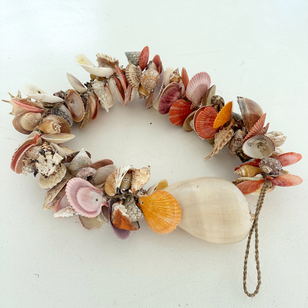 SECONDS STOCK: ASSORTED SHELL CLUSTER: 140CM