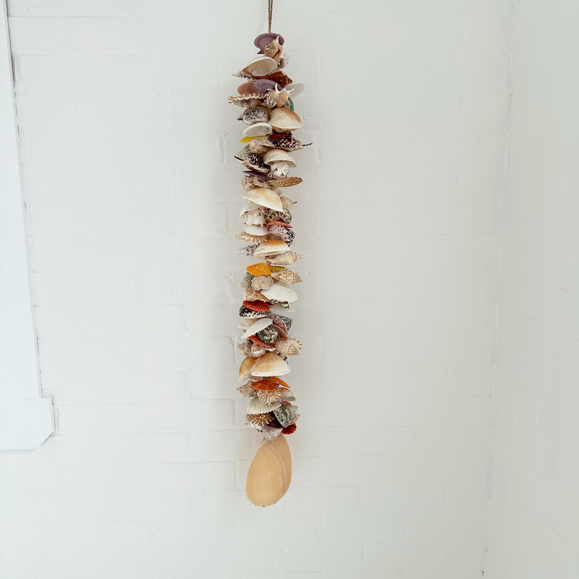 ASSORTED SHELL CLUSTER: 110CM