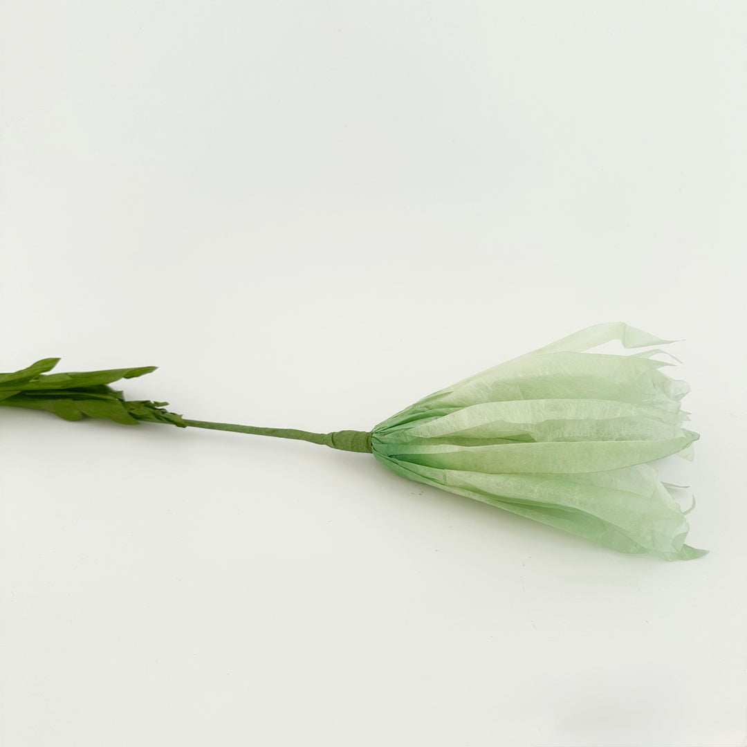 PAPER FLOWER: DAISY