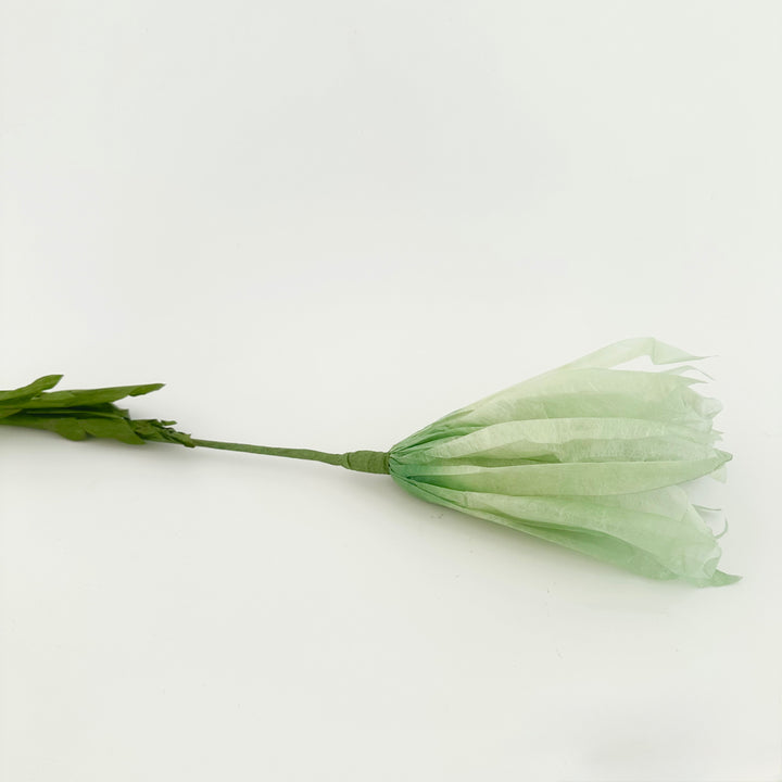 PAPER FLOWER: DAISY