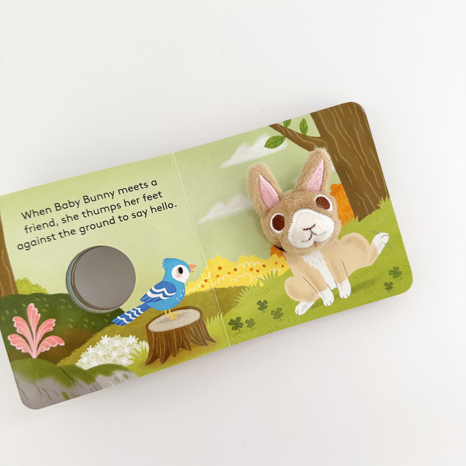 BABY BUNNY: FINGER PUPPET BOOK