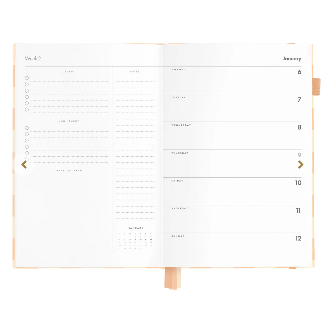 FOX & FALLOW 2025 A5 HORIZONTAL PLANNER: SALMON CHECK