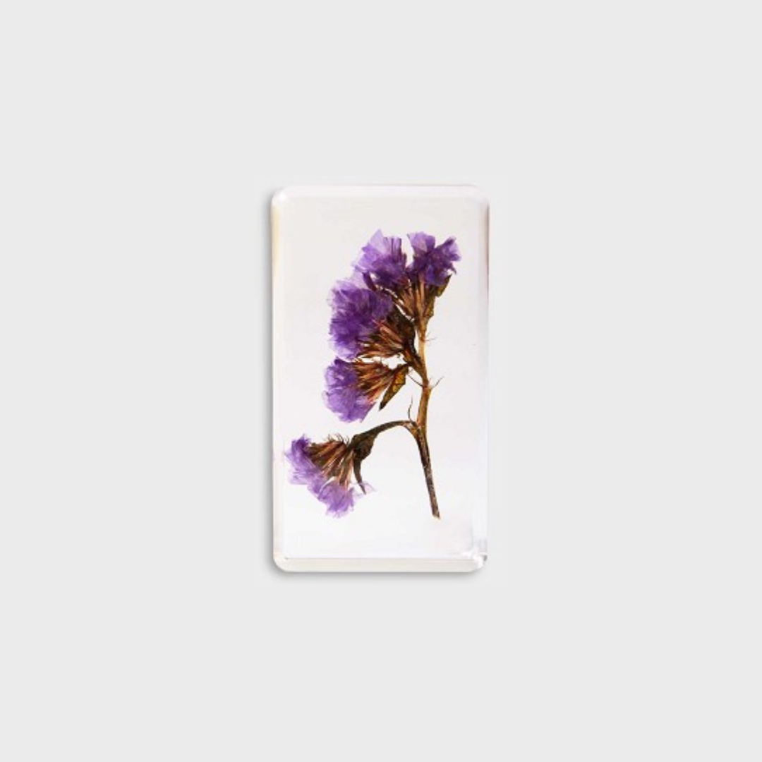 KLEVERING CUBE WILDFLOWER: LARGE