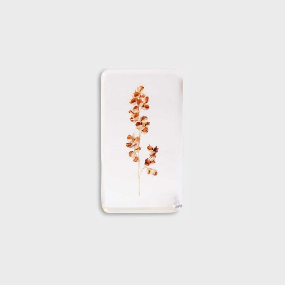 KLEVERING CUBE WILDFLOWER: LARGE