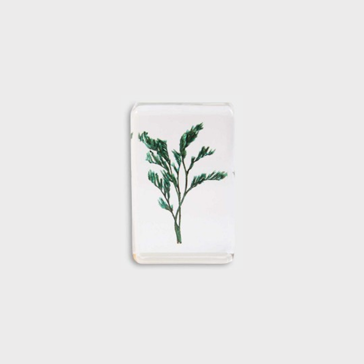 KLEVERING CUBE WILDFLOWER: SMALL