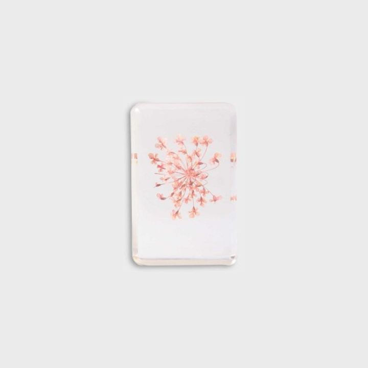 KLEVERING CUBE WILDFLOWER: SMALL