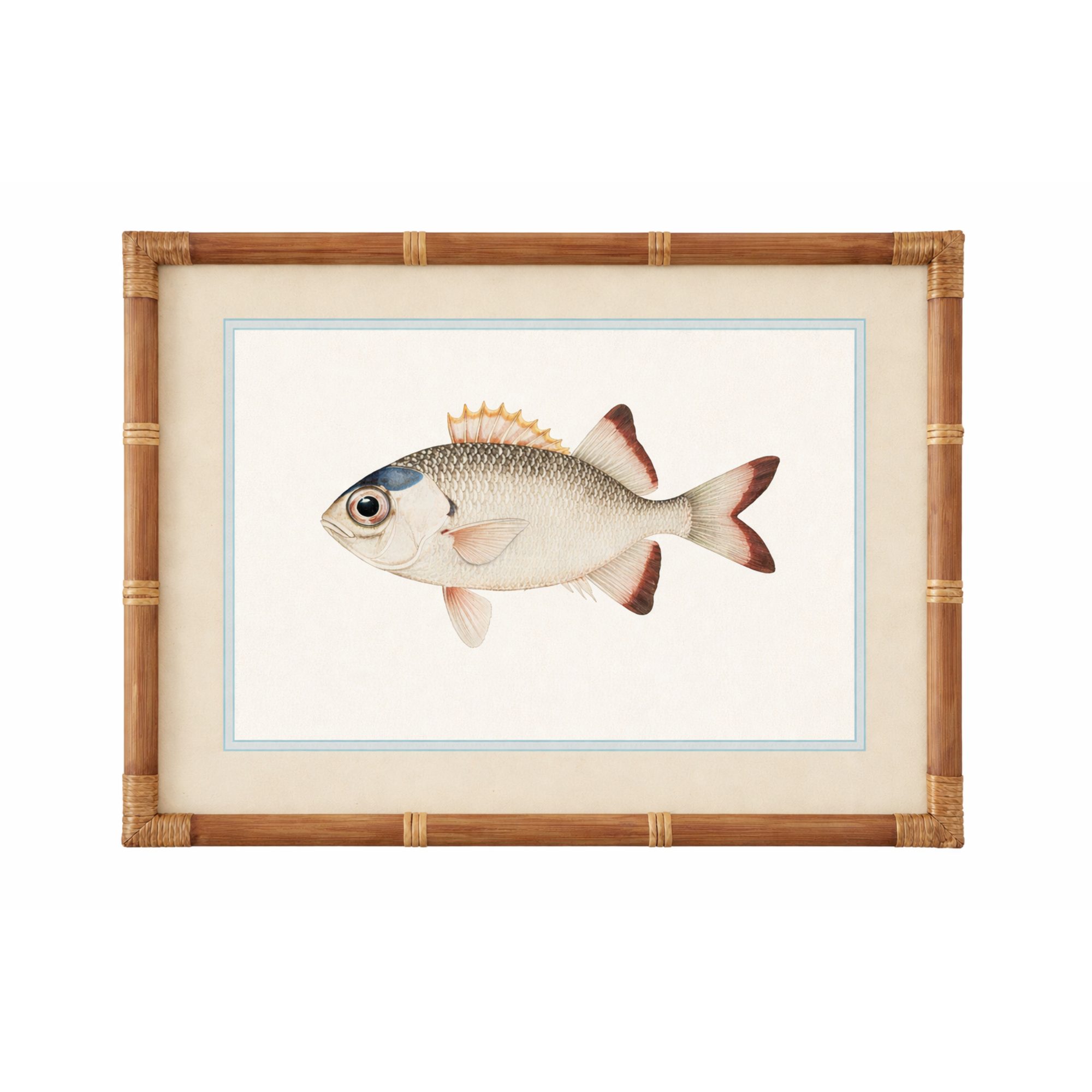 NEMO FRAME GLASS PRINT: MULTI